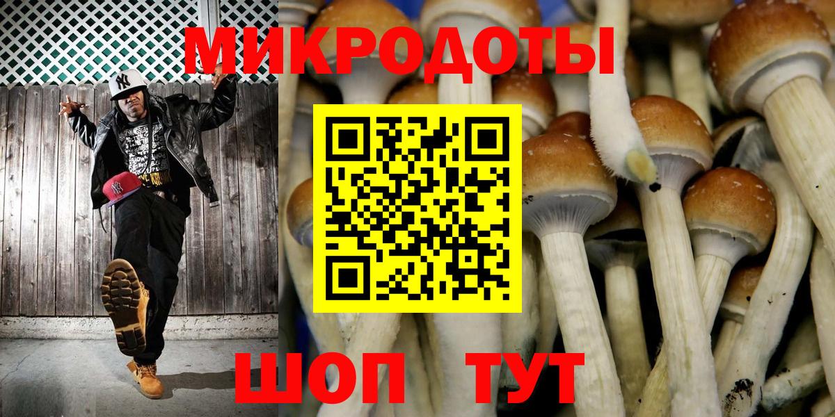 Узловая  Псилоцибиновые грибы GOLDEN TEACHER  Вход с VPN 